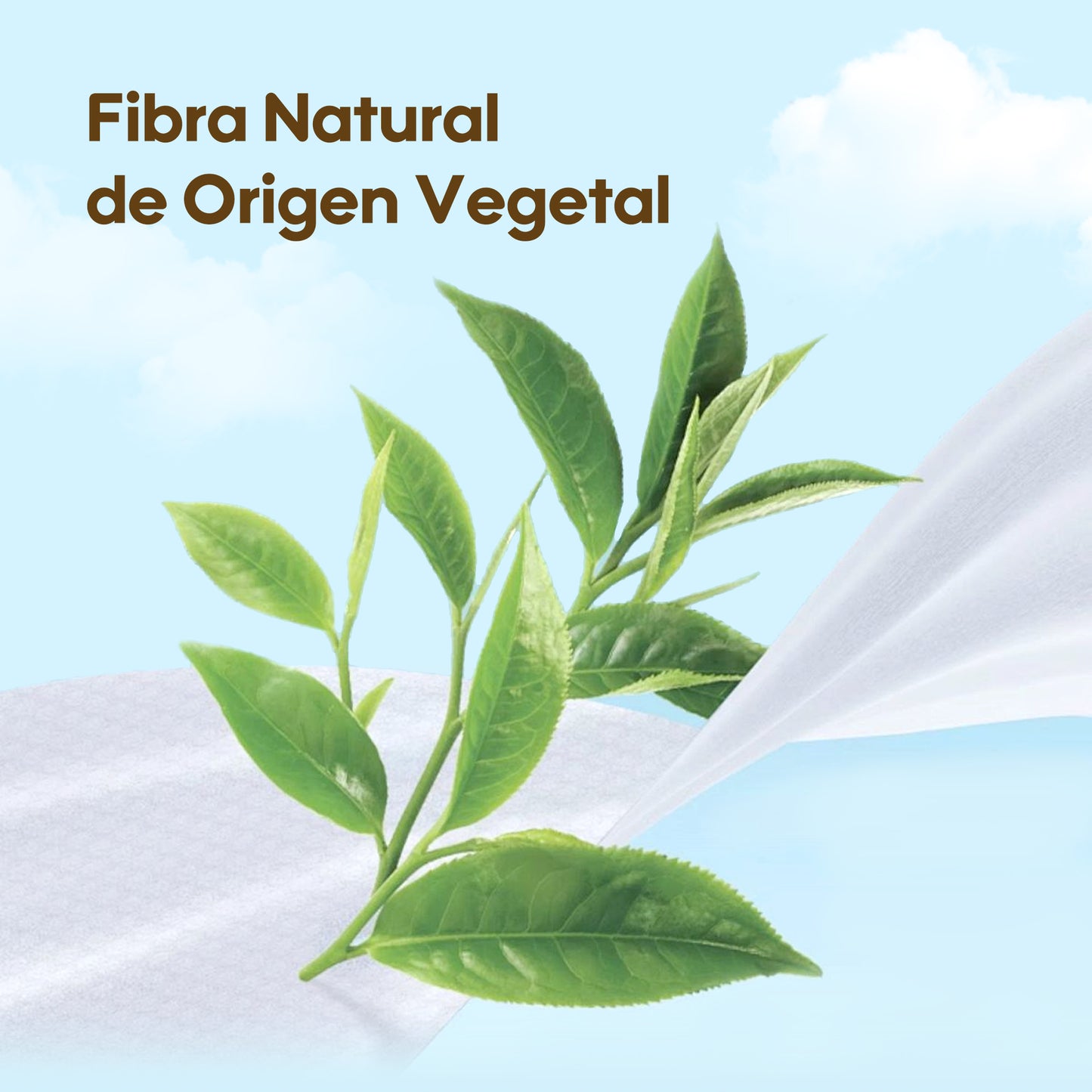 Toallitas de Cuidado Orgánico Serie Fresca y Nutritiva - Papaya