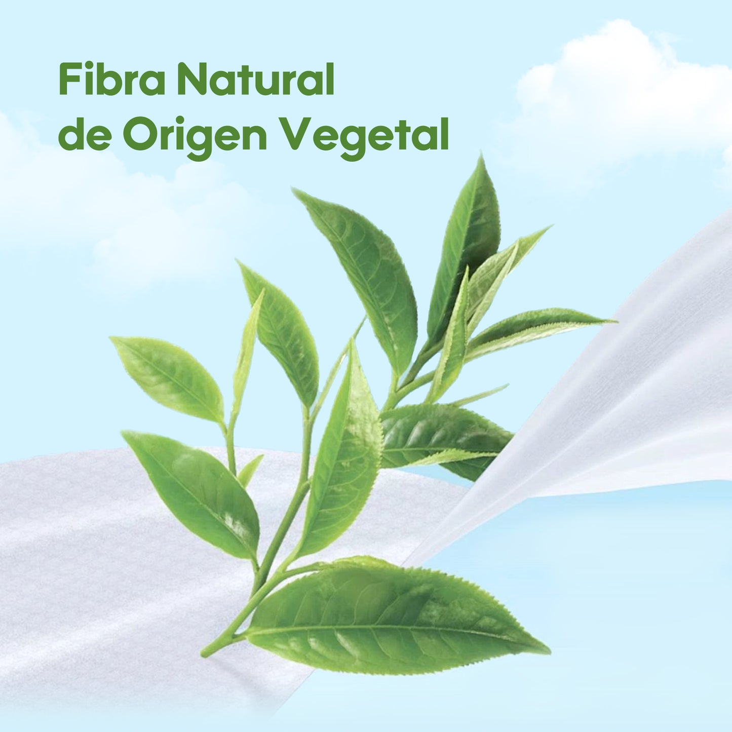 Toallitas de Cuidado Orgánico Serie Fresca y Nutritiva - Áloe