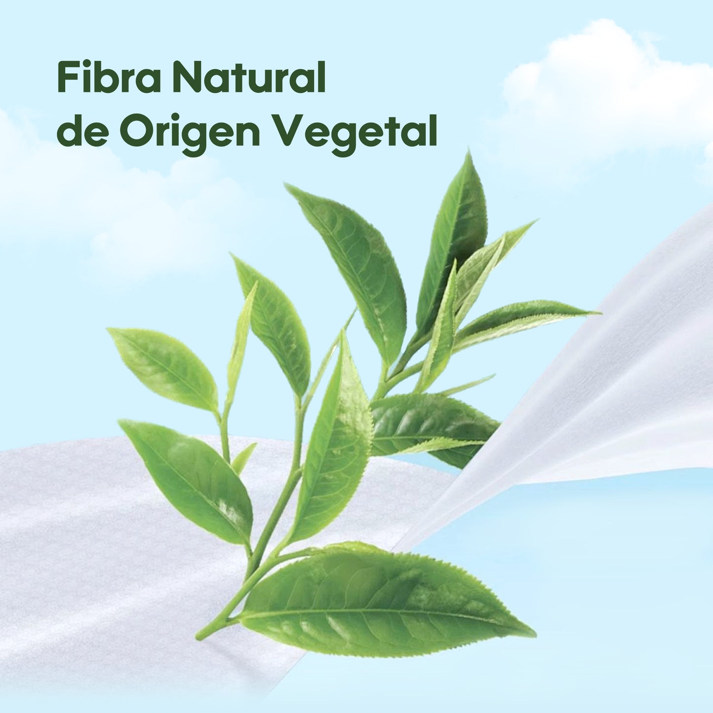 Toallitas de Cuidado Orgánico Serie Fresca y Nutritiva - Aguacate